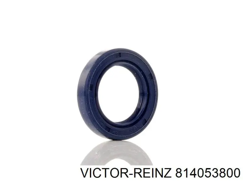 Сальник двигателя распредвала Victor Reinz 814053800 цена, от 9.22 USD