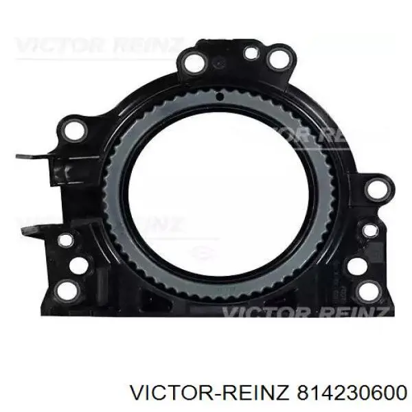 814230600 Victor Reinz vedação traseira de cambota de motor