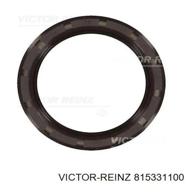 815331100 Victor Reinz