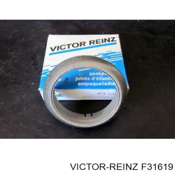  F31619 Victor Reinz