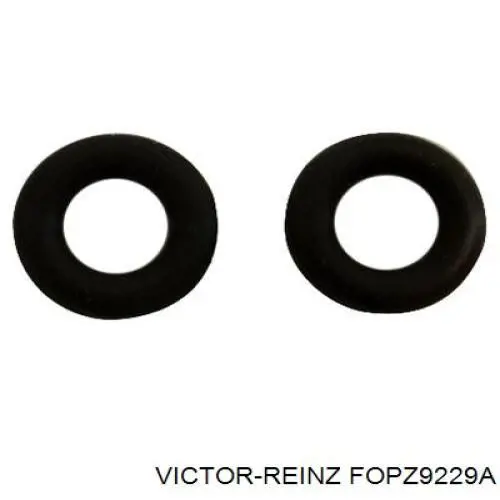 Уплотнительное кольцо форсунок  Ford CM4717