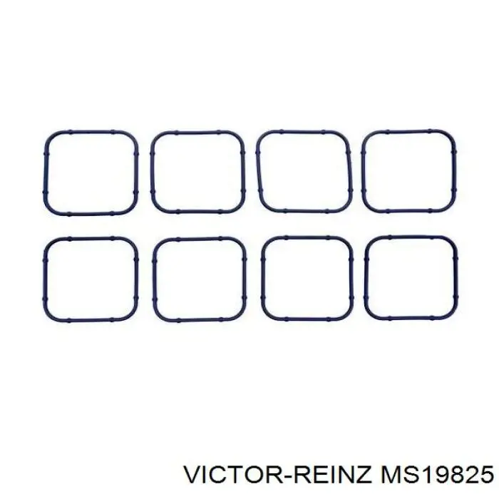 MS19825 Victor Reinz прокладка впускного коллектора