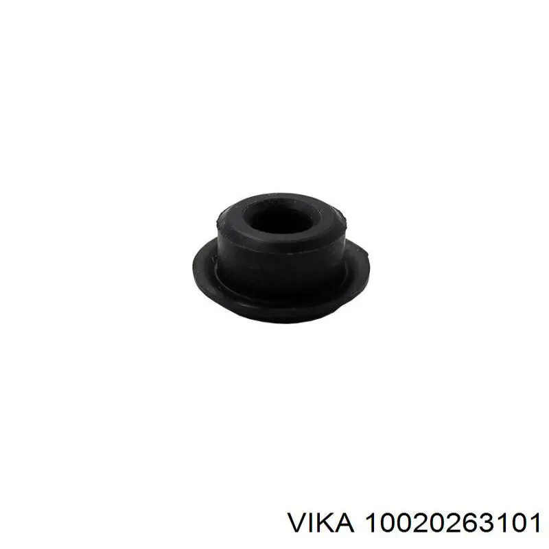 10020263101 Vika 