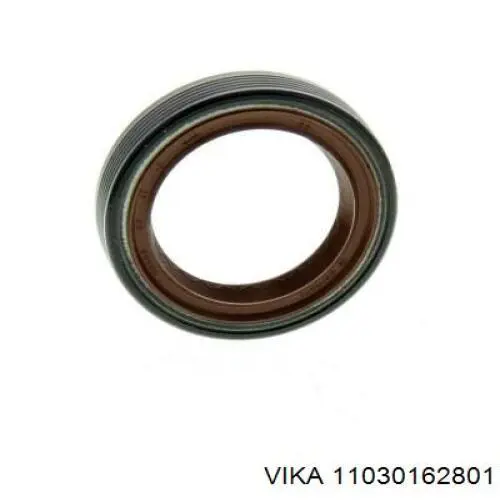 11030162801 Vika