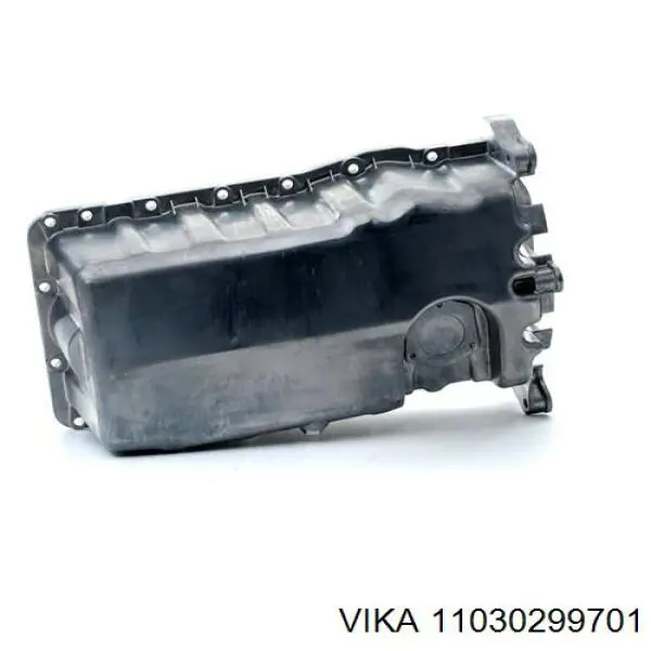 11030299701 Vika Картер масляный