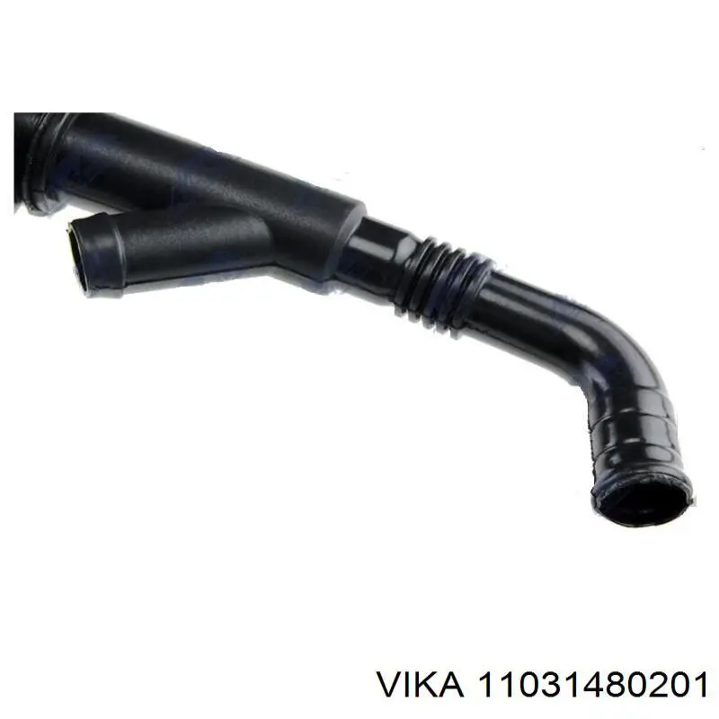 11031480201 Vika