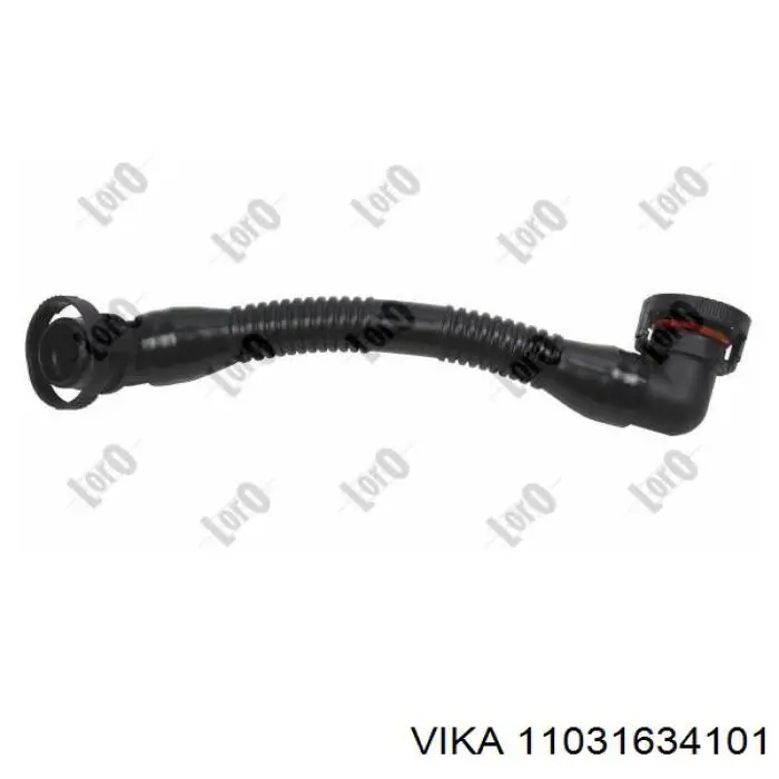 11031634101 Vika