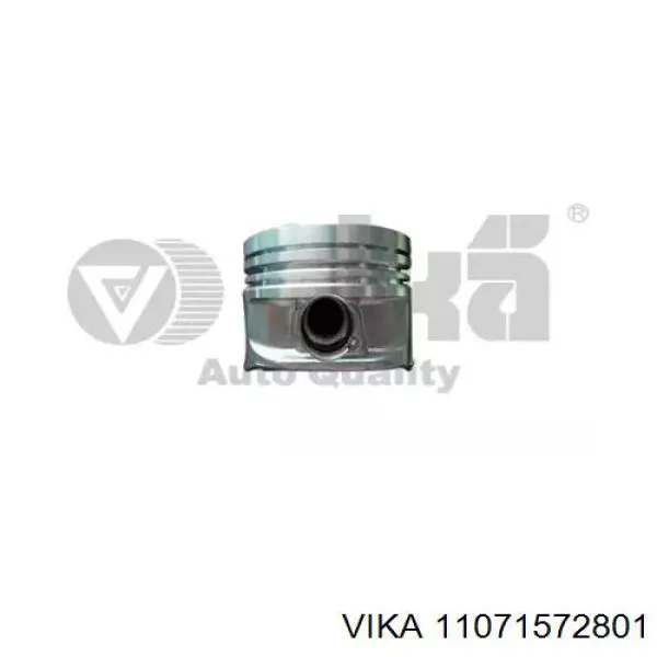  Vika 11071572801 цена, от 57.37 USD