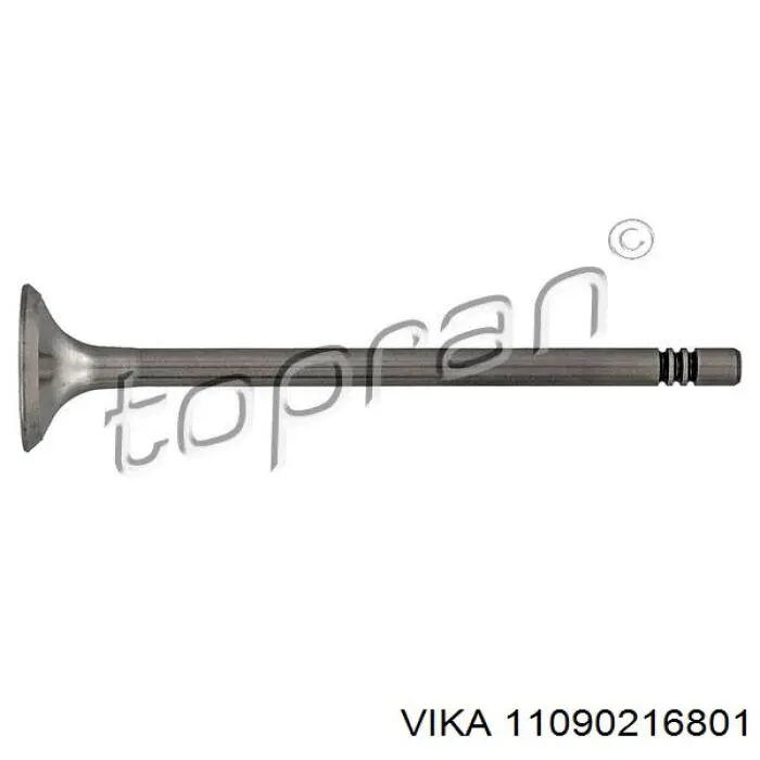 11090216801 Vika клапан выпускной