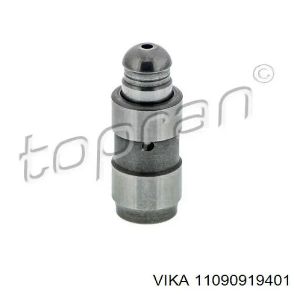 Compensador hidrâulico (empurrador hidrâulico), empurrador de válvulas Volkswagen Tiguan Allspace  BW2, BJ2