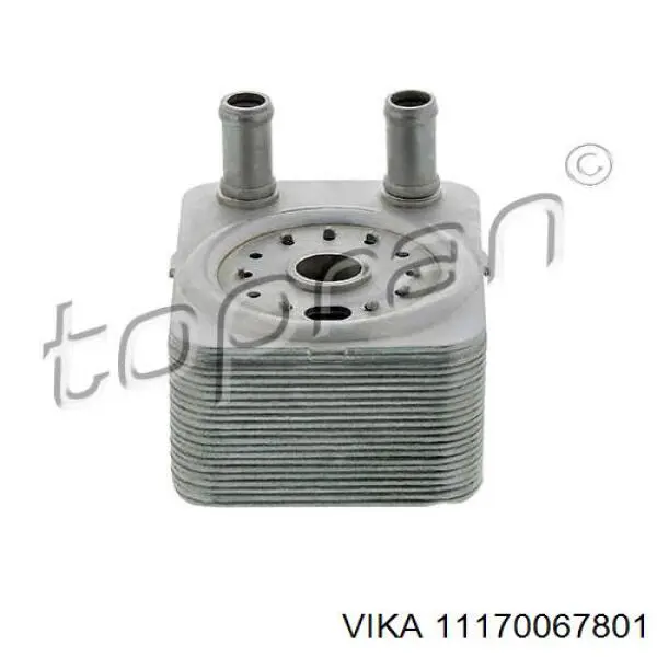 11170067801 Vika