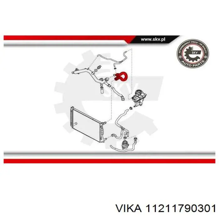 11211790301 Vika