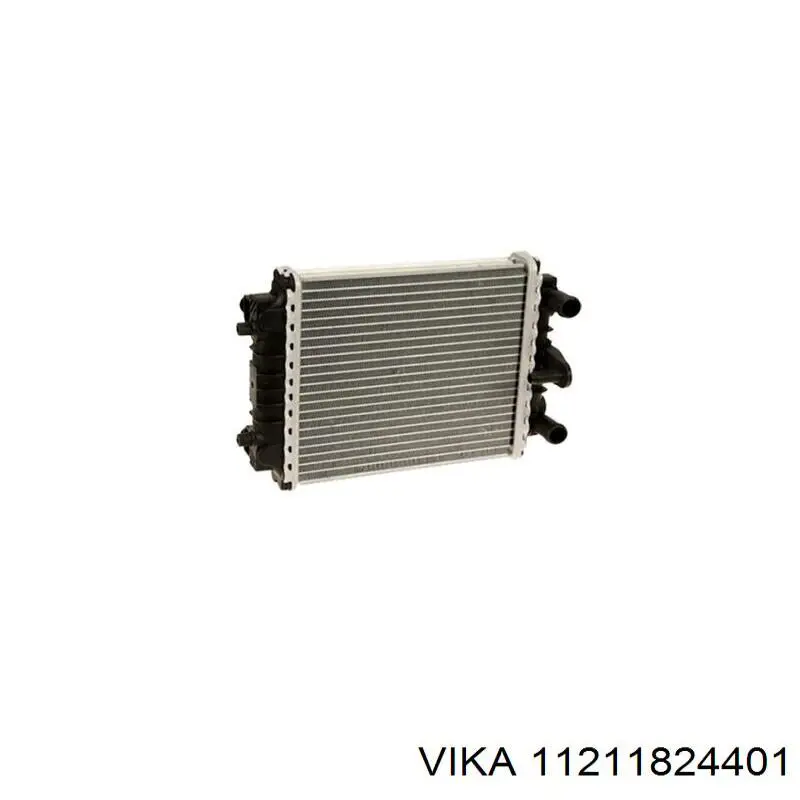 11211824401 Vika