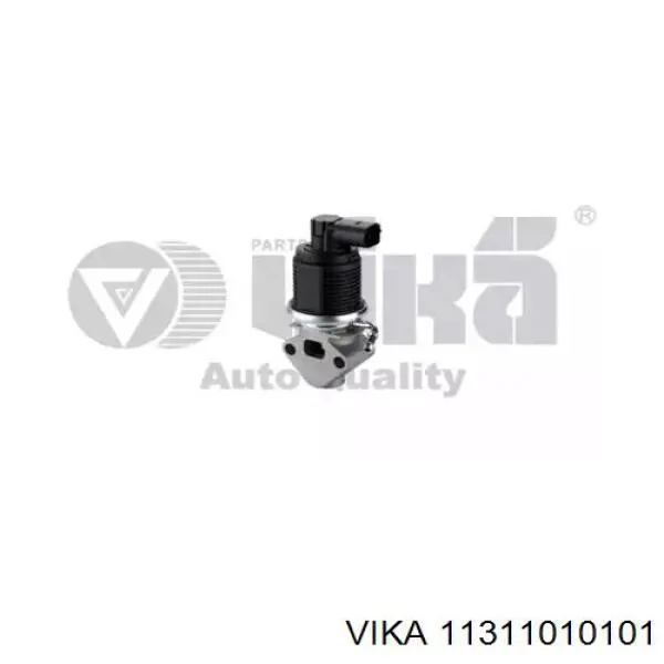 11311010101 Vika