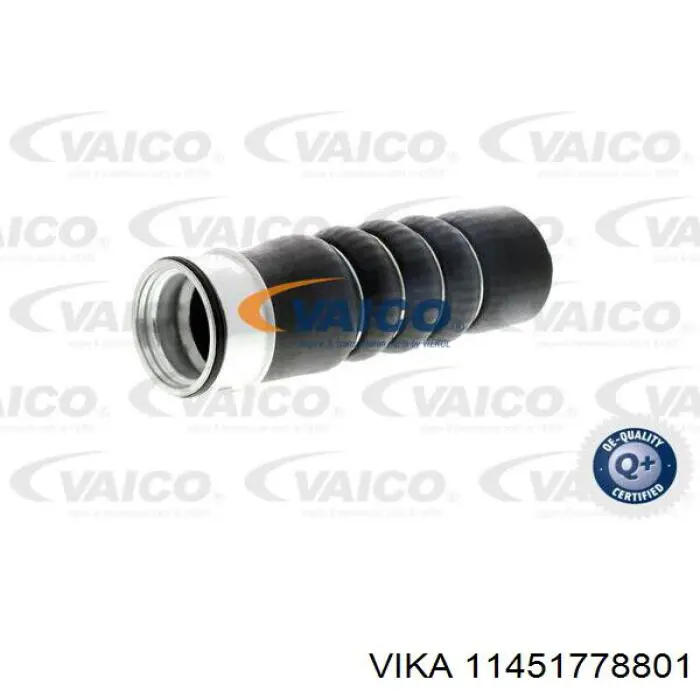 11451778801 Vika