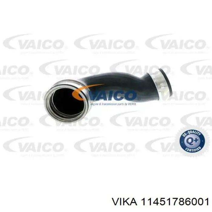 11451786001 Vika