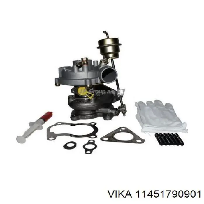 11451790901 Vika 