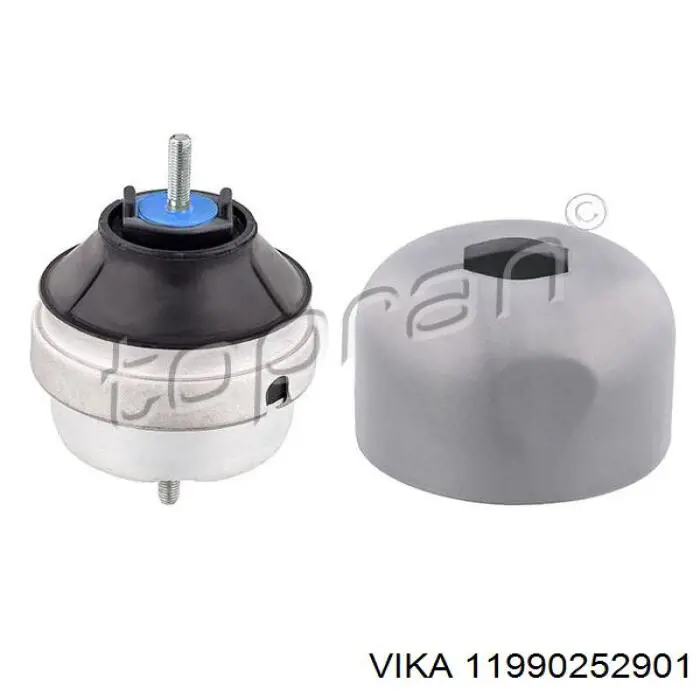 11990252901 Vika