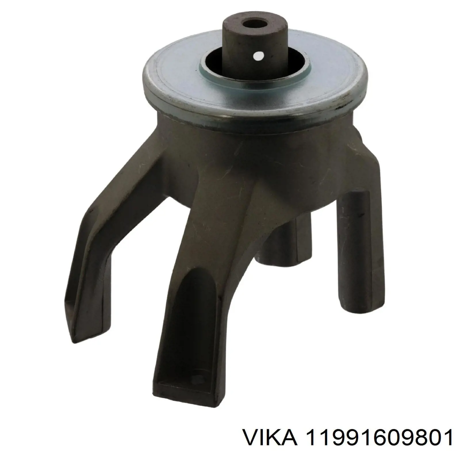 11991609801 Vika