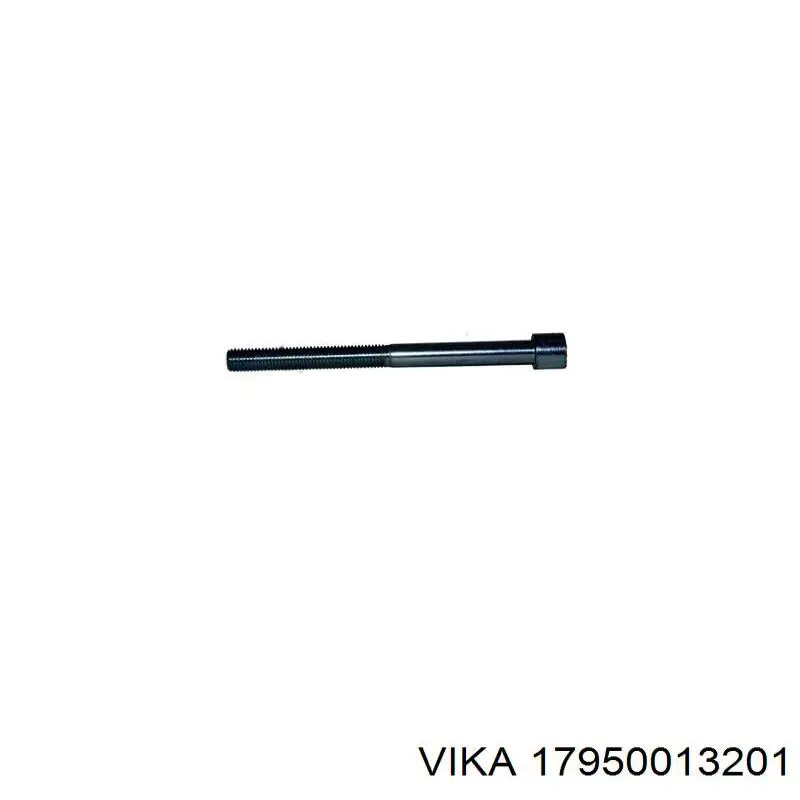 17950013201 Vika