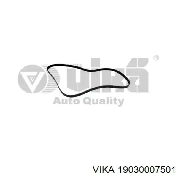 Ремень агрегатов приводной Vika 19030007501
