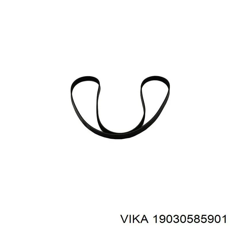 19030585901 Vika