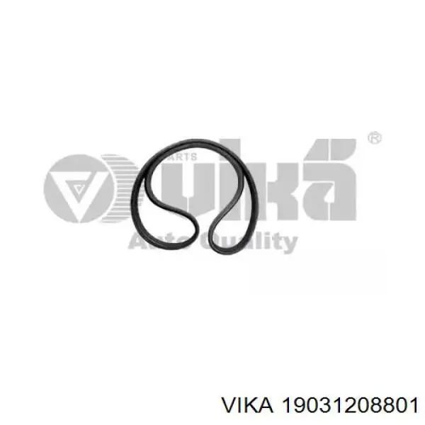 Ремень агрегатов приводной Vika 19031208801