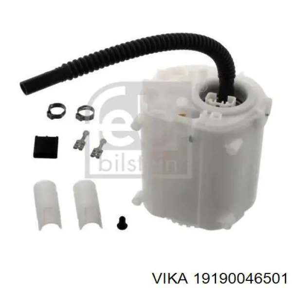 19190046501 Vika 