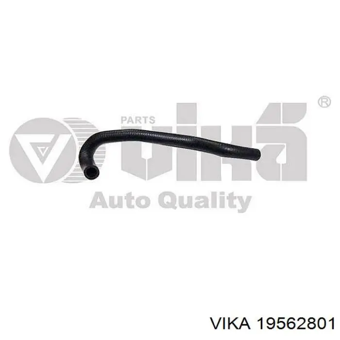 19562801 Vika