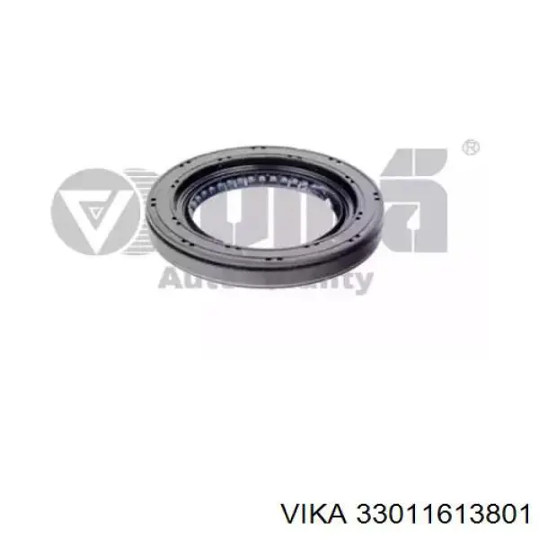 33011613801 Vika