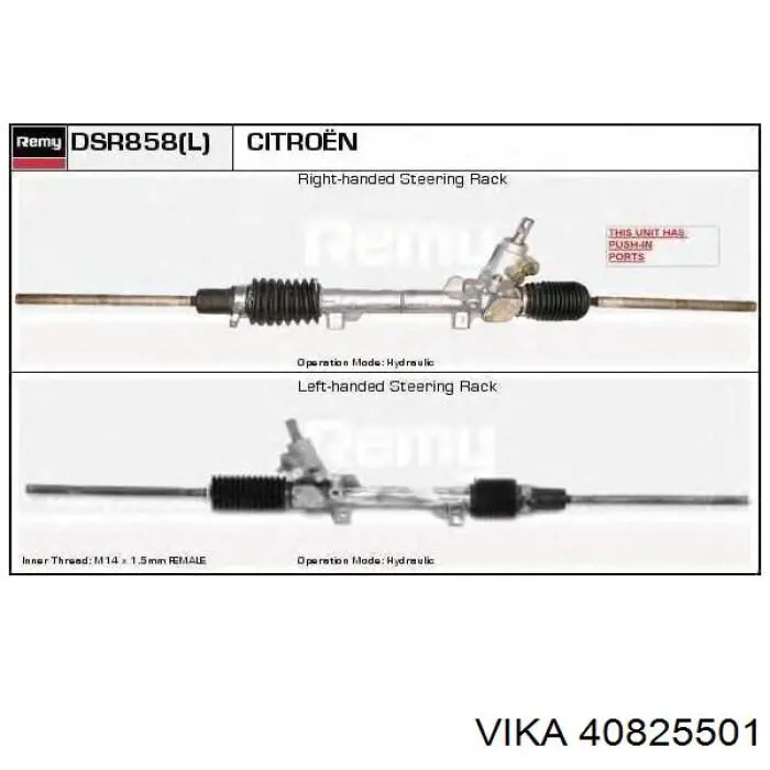 40825501 Vika 