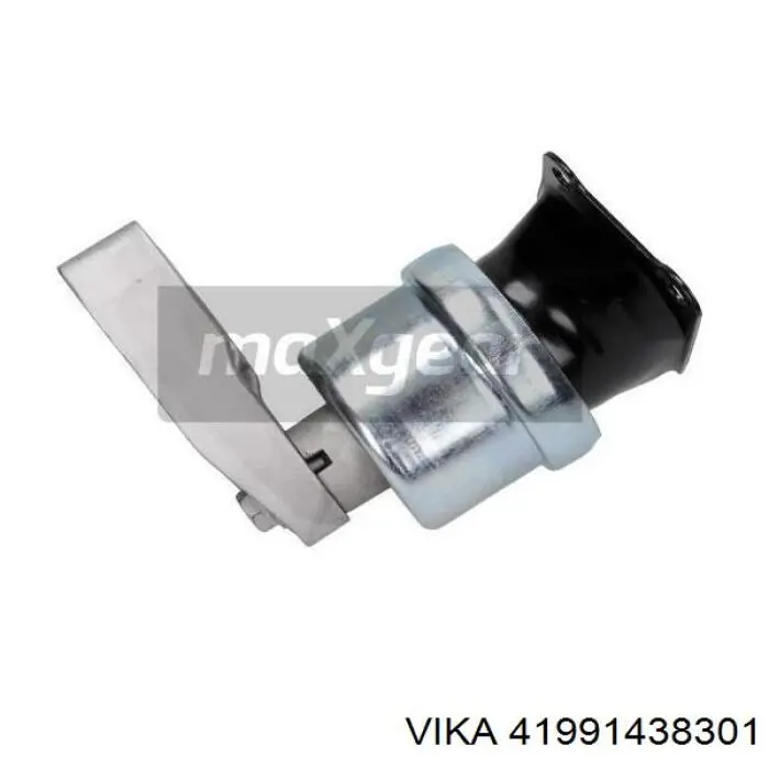 41991438301 Vika