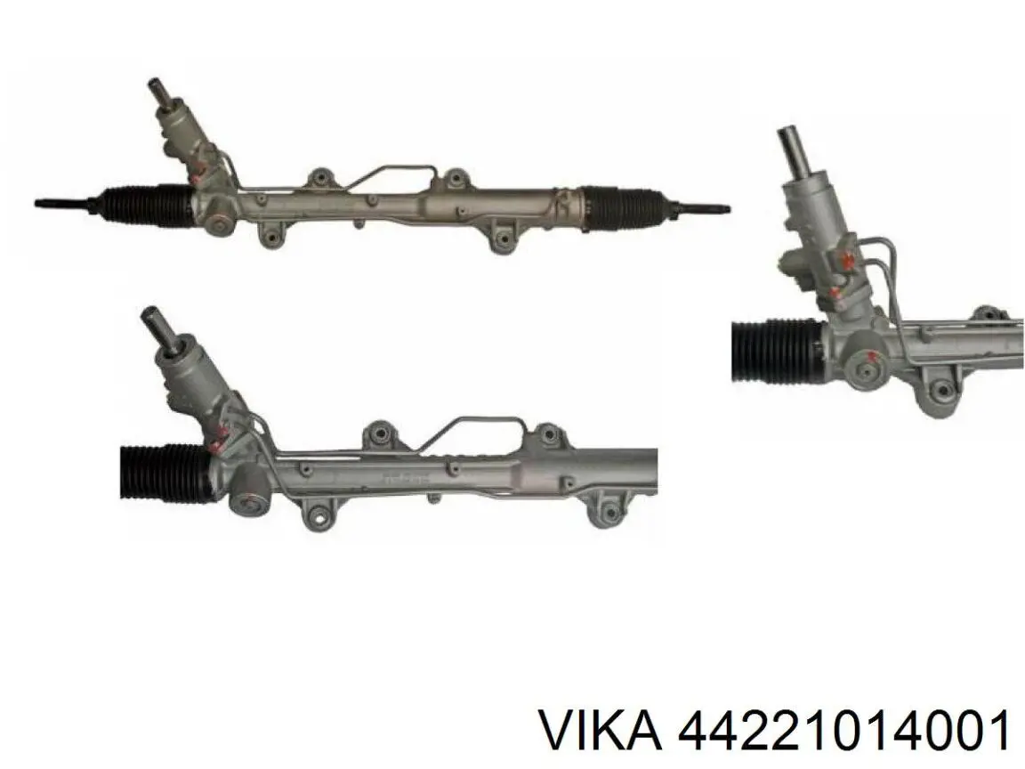 44221014001 Vika