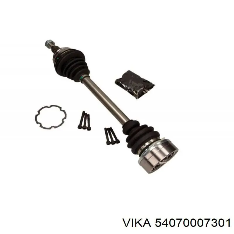 54070007301 Vika