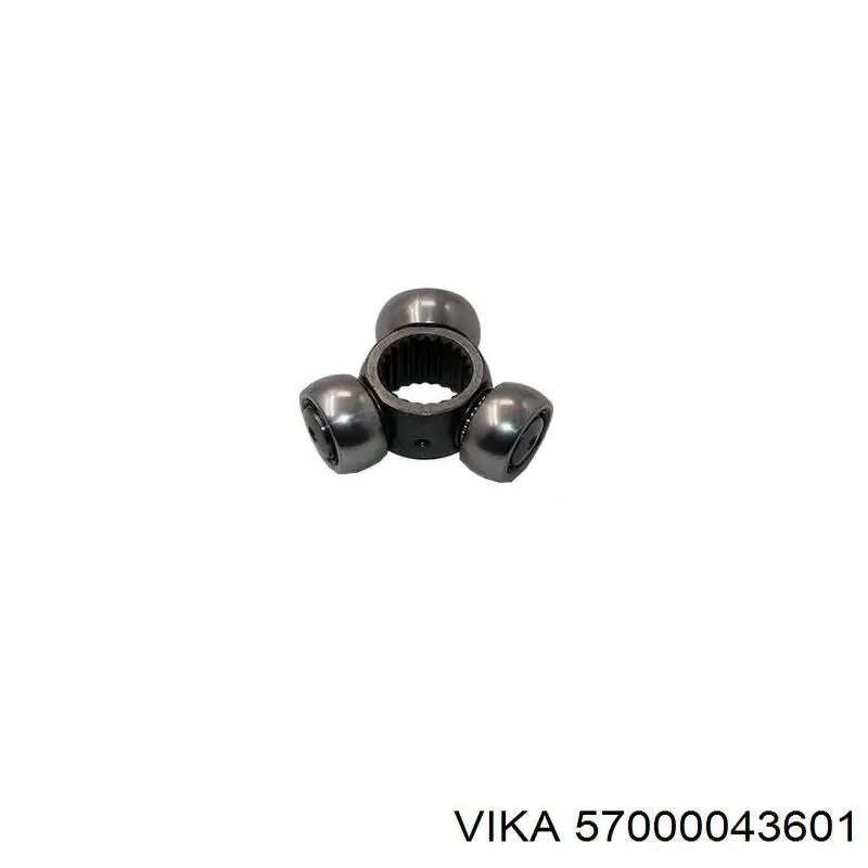 57000043601 Vika 