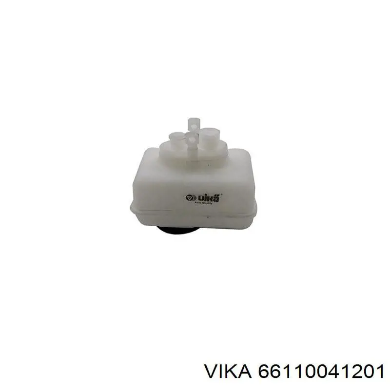 66110041201 Vika