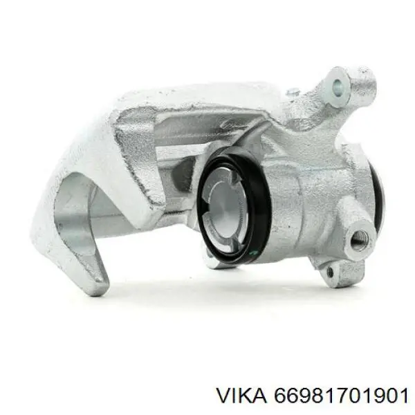 Купить 66981701901 Vika 