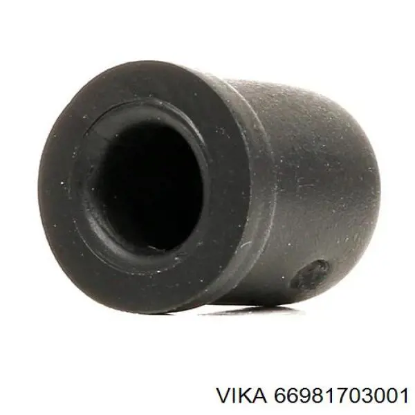 66981703001 Vika 