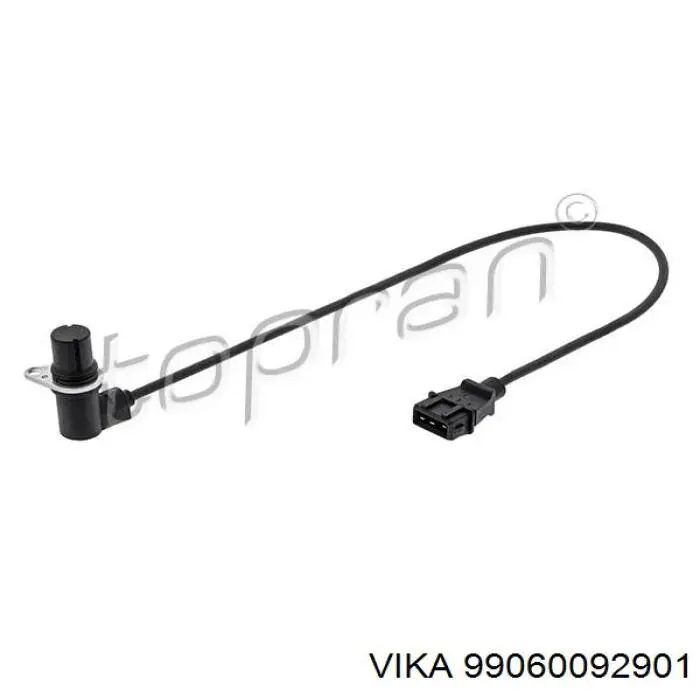 99060092901 Vika ДПКВ