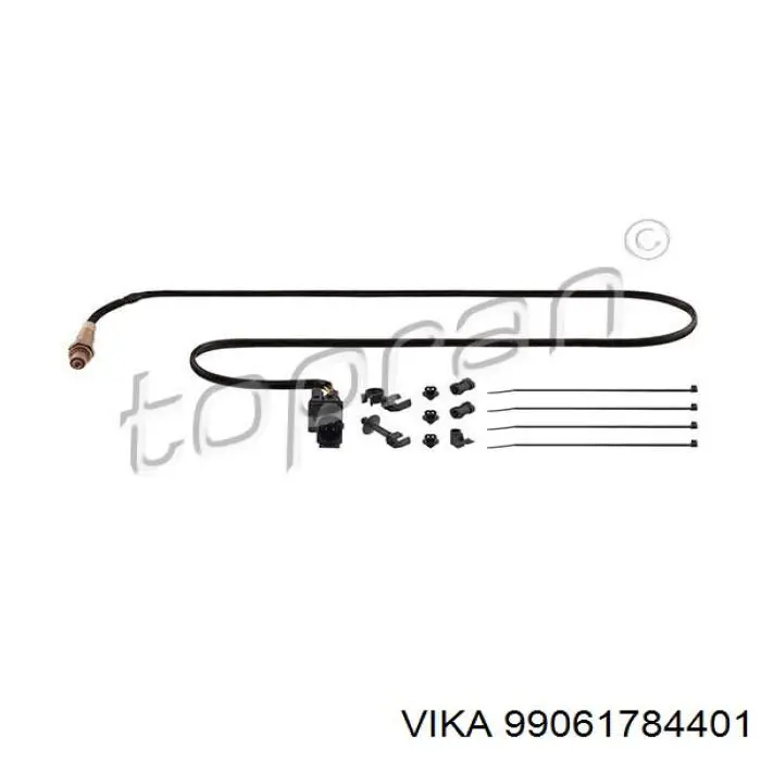 99061784401 Vika