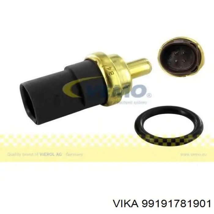 99191781901 Vika