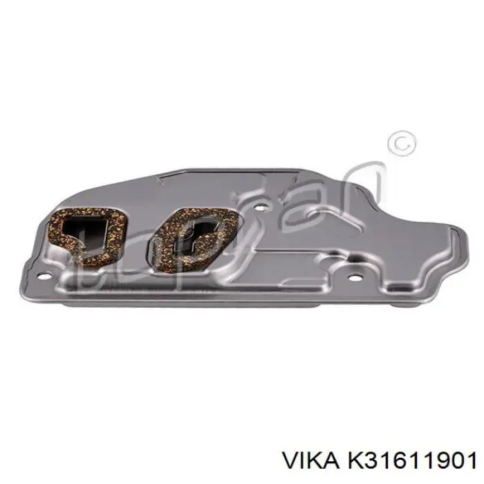 K31611901 Vika