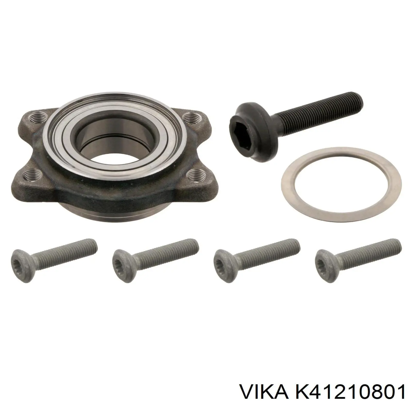 K41210801 Vika
