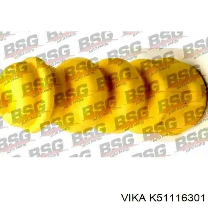 K51116301 Vika