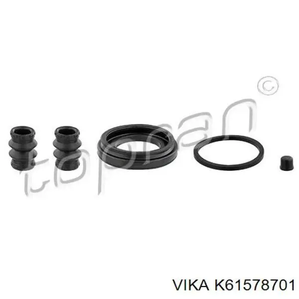 K61578701 Vika