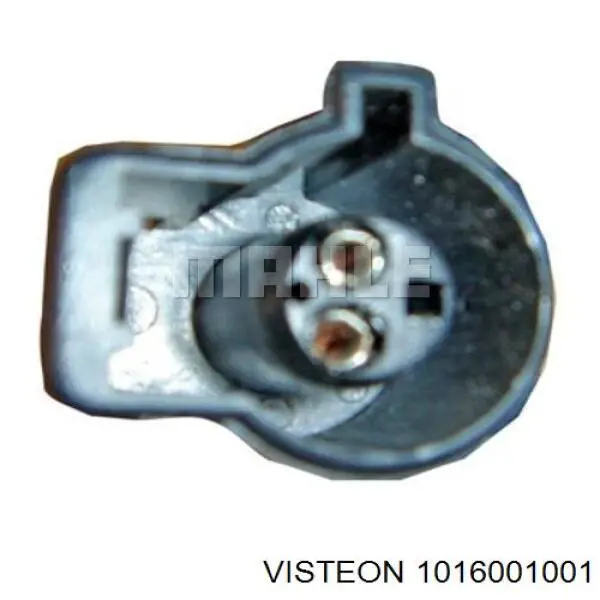 Купить 1016001001 Visteon Компрессор климатической установки