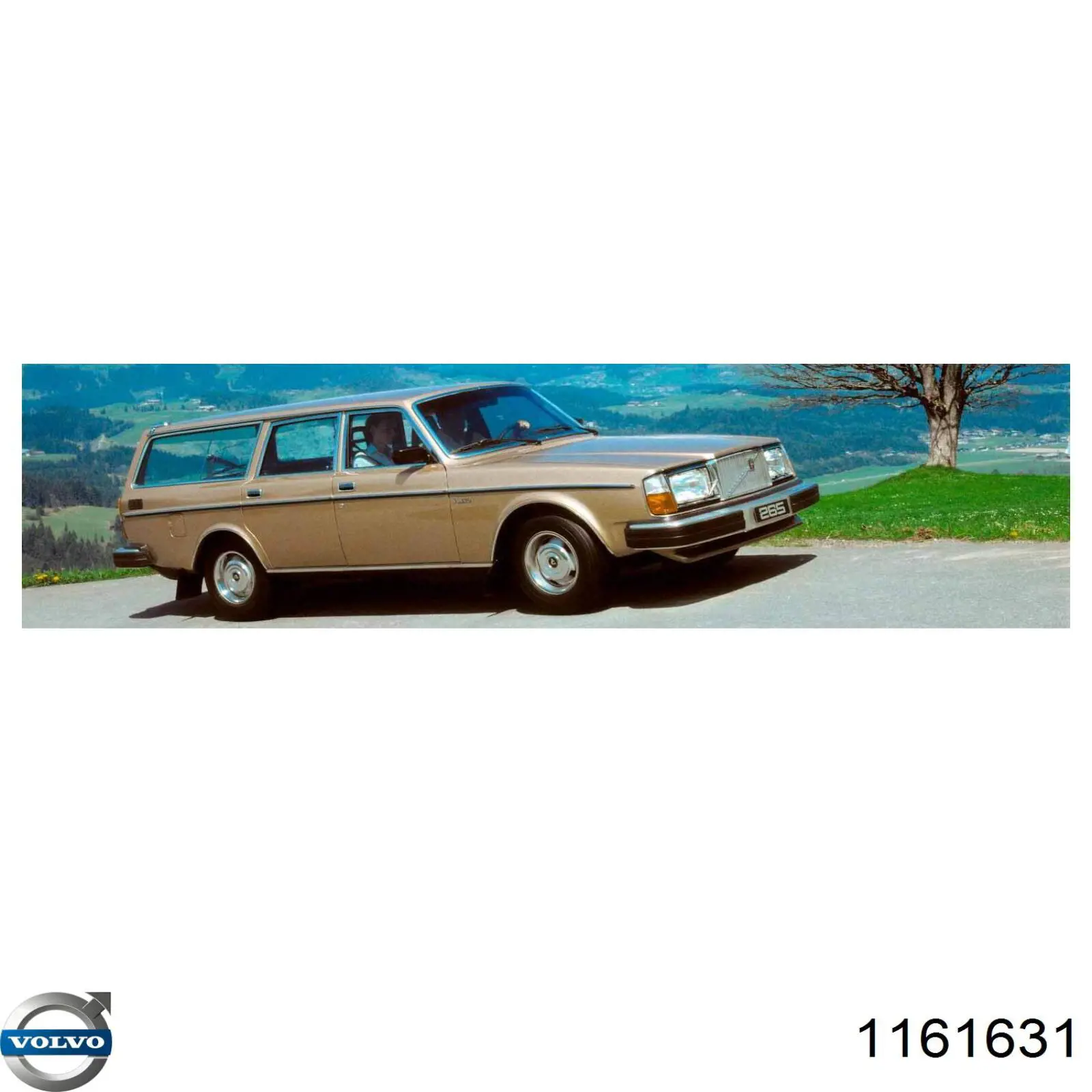 Моторное масло 1161631 Volvo