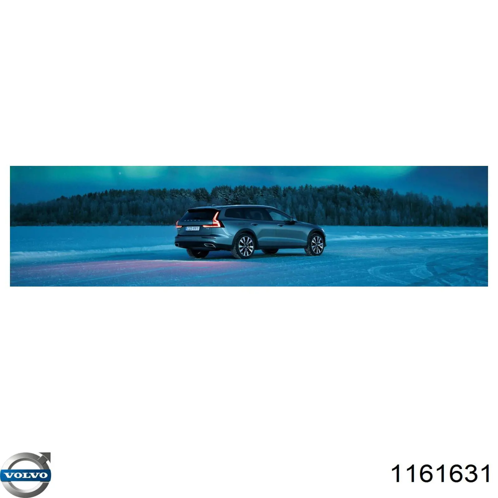 1161631 Volvo Масло двигателя