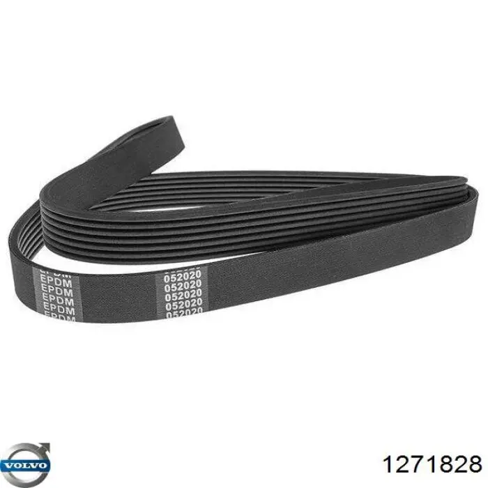 1271828 Volvo Поликлиновый ремень