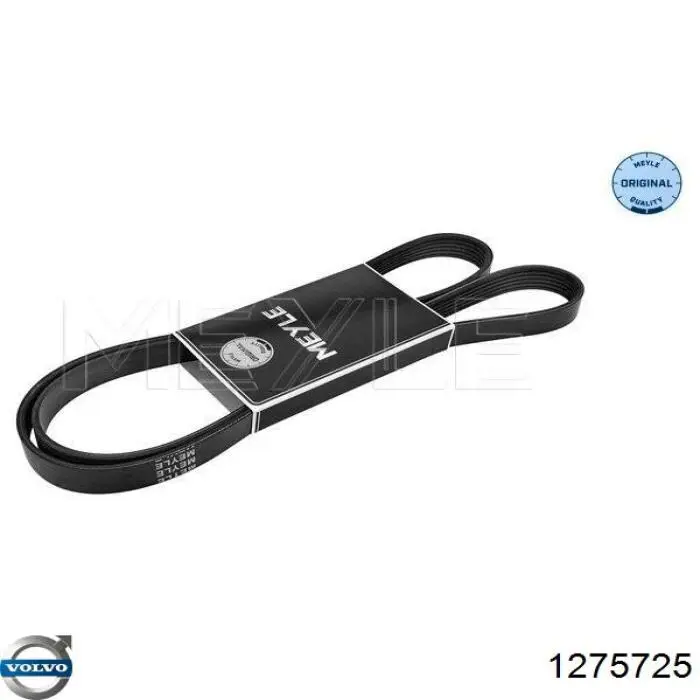 1275725 Volvo Поликлиновый ремень